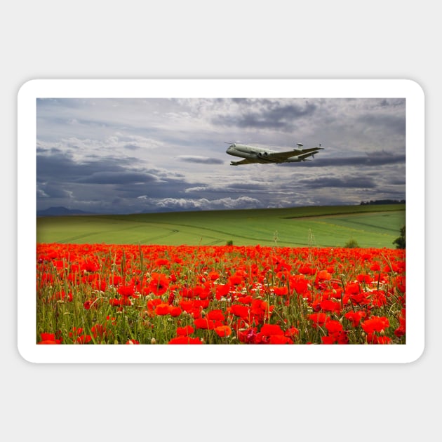 RAF Nimrod Poppy Pass Sticker by aviationart